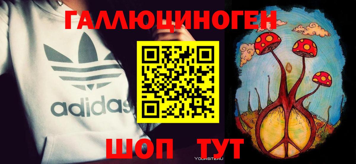 Псилоцибиновые грибы Psilocybine cubensis Бугуруслан